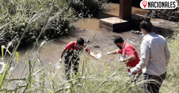 El lago Ypacaraí se purifica y examinan estado de sus demás afluentes