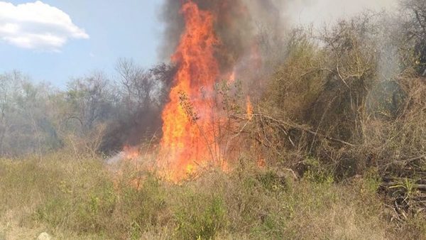 Quemas en el país pueden aumentar muertes por Covid-19