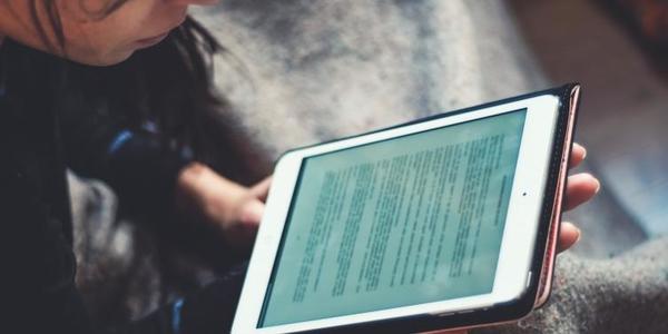 Coinciden en la necesidad de un modelo de educación virtual
