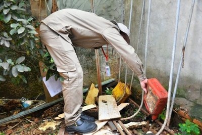 Campaña "Pará-na los criaderos" continúa con tareas de limpieza en Alto Paraná - Paraguay Informa
