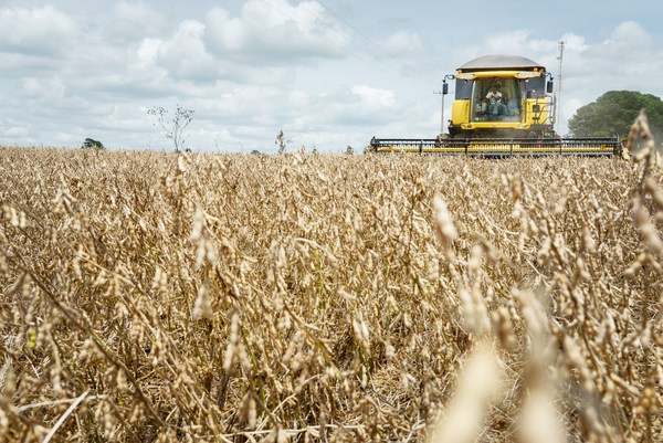 Aumenta endeudamiento de productores de soja - Paraguay Informa