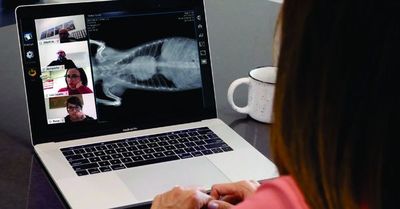 Estudiantes de bioquímica rechazan clases virtuales