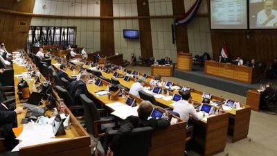 Senadores se quedan desde mayo sin el seguro médico vip - Nacionales - ABC Color