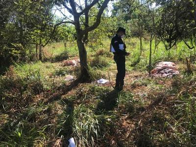 ABIGEOS “carnearon” dos vacas de una ANCIANA de 82 años en HERNANDARIAS