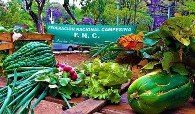 Campesinos donan 13.500 kilos de víveres a familias afectadas por paro total - Paraguay Informa
