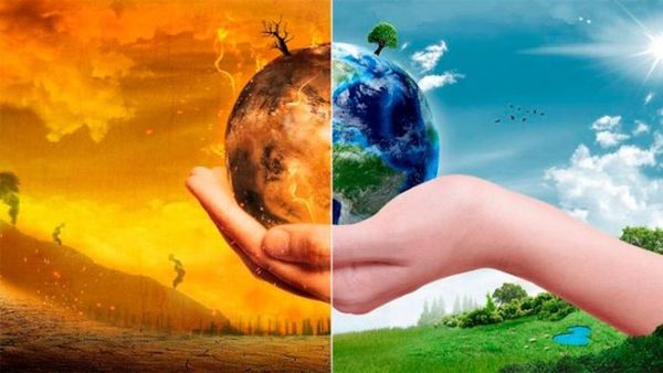 Piden a ONU derecho a un ambiente sano