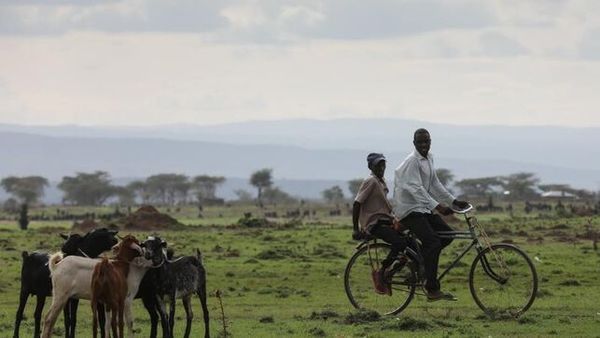 En África, el hambre puede ganarle la partida al coronavirus » Ñanduti