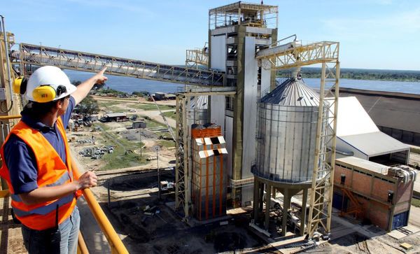 Industrialización de oleaginosas cayó 16,3% a marzo