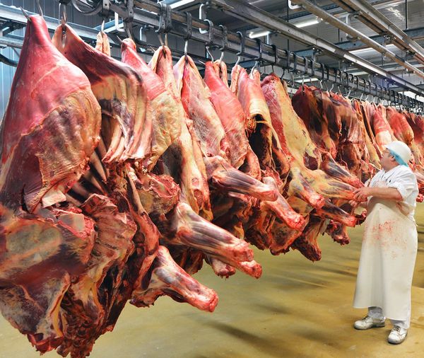 Afirman que Paraguay exportará menos carne bovina