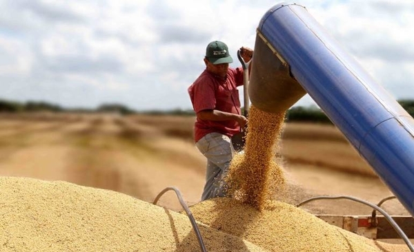 HOY / Sojeros consideran una "irresponsabilidad" plantear más impuestos