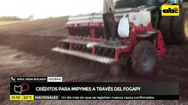 Créditos para mipymes a través del Fogapy - Mesa de Periodistas - ABC Color