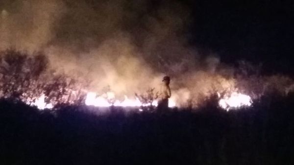 Incendio de grandes proporciones en un baldío en Surubi’i - Nacionales - ABC Color