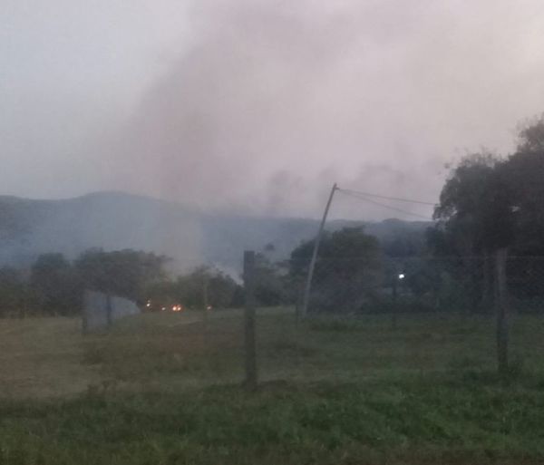 Denuncian criminal quema de pastizales en humedales de Piribebuy - Nacionales - ABC Color