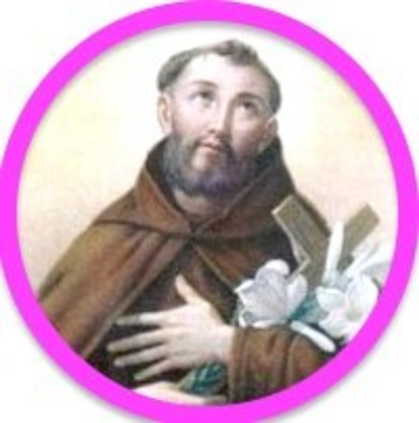 San Fidel | Crónica