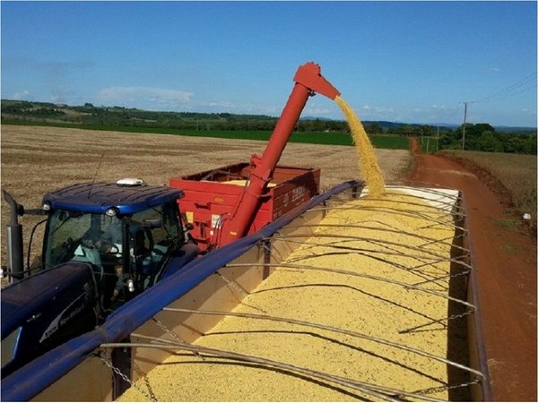 El 40% de la soja cosechada aún no se comercializó
