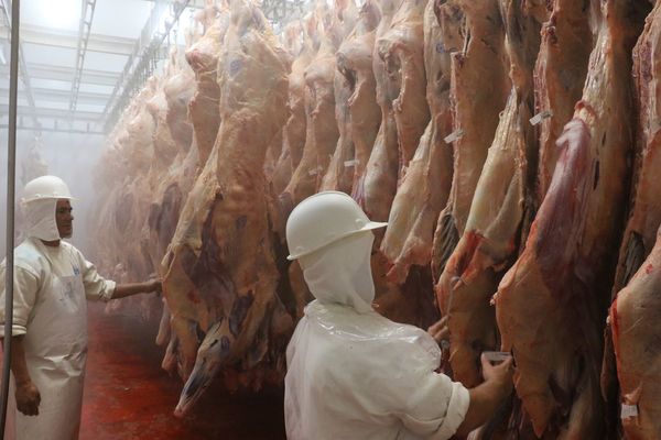 En EEUU afirman que Paraguay hará menos exportación de carne