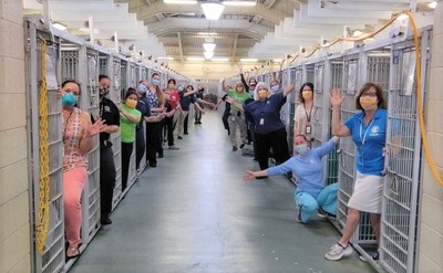 Repunte de adopciones de mascotas: El COVID-19 vacía las jaulas de perros y gatos para adopción en Miami » Ñanduti