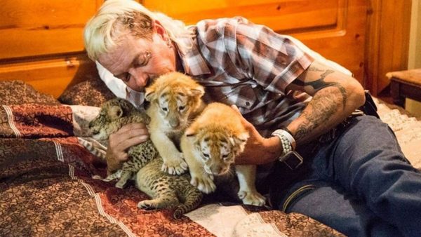La exuberante vida del rey de los tigres