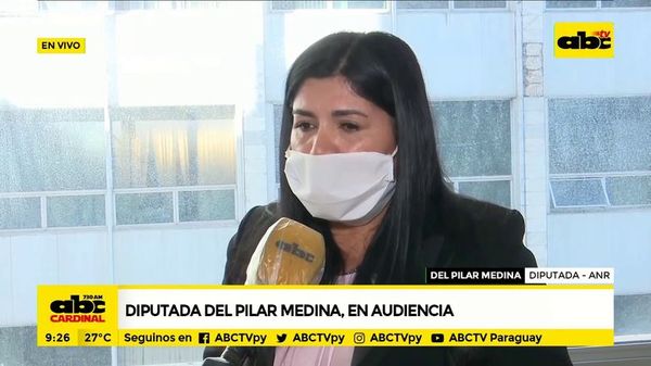 Diputada Del Pilar Medina, en audiencia - ABC Noticias - ABC Color