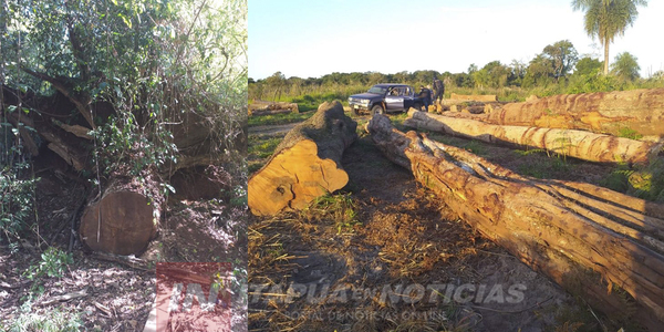 LOCALIZAN ROLLOS DE DISTINTAS ESPECIES EN VERIFICACIÓN DEL PARQUE SAN RAFAEL.