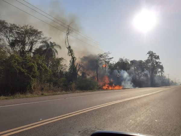 Incendio en Parque Nacional Ypacaraí - Nacionales - ABC Color