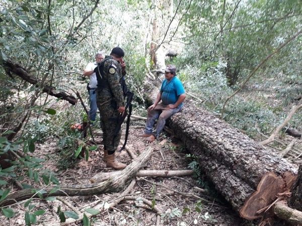 Hallan a diputado de Concepción desmontando Parque Nacional San Luis - Paraguay Informa