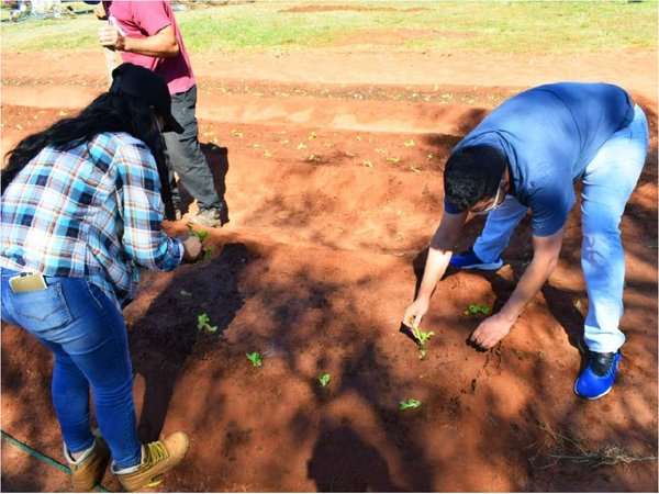 Para hacer frente a la cuarentena crean huerta y panadería