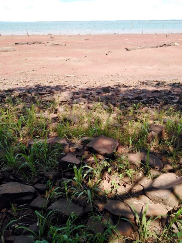 Brasil define la próxima semana pedido sobre agua - Economía - ABC Color