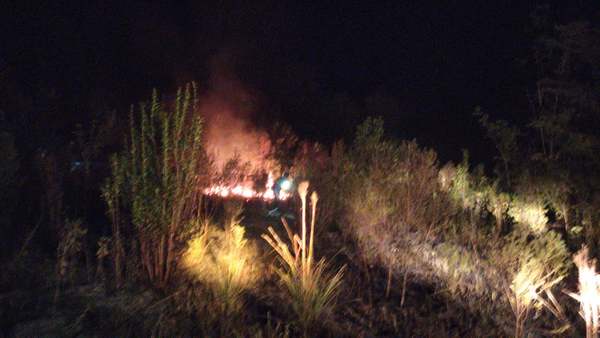 INCENDIO FORESTAL DESTRUYE VARIAS HECTÁREAS DE EUCALIPTO