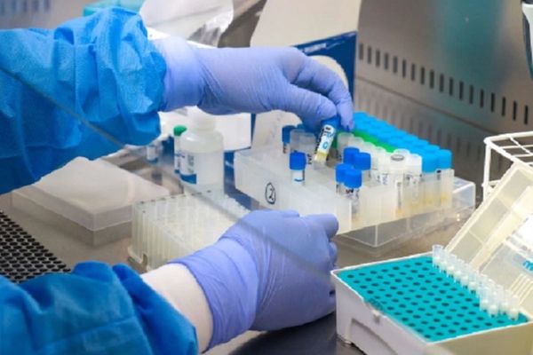Sars y Mers: ¿En cuánto tiempo desaparecieron?