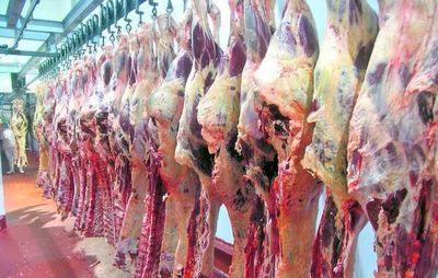 Frigoríficos operan al 50% de capacidades - Economía - ABC Color