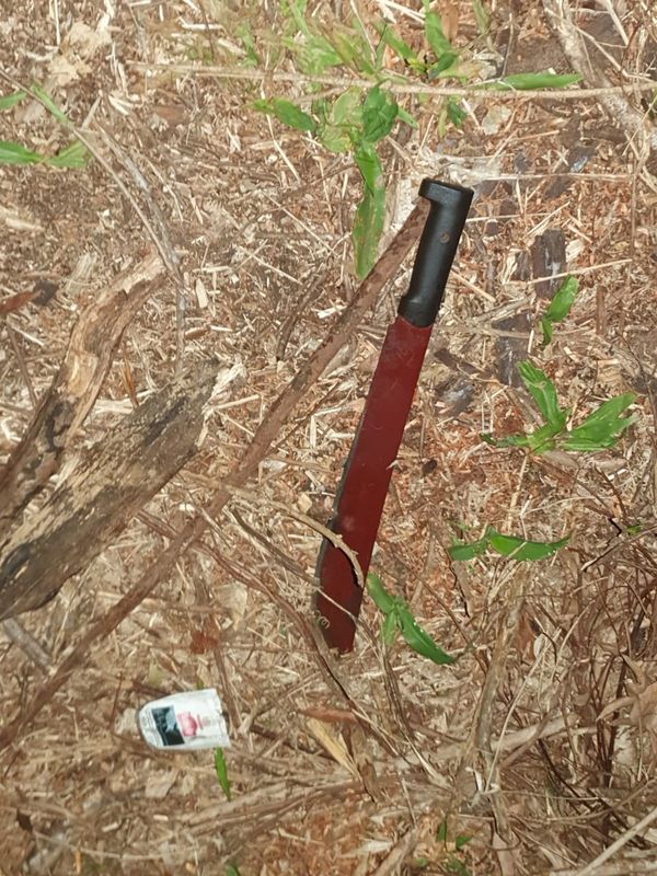 Nuevo triple homicidio en la zona de Amambay