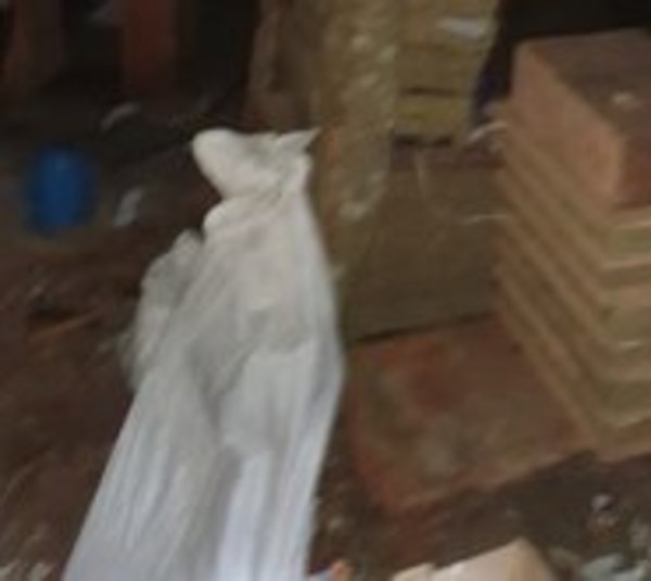 Indígenas asesinados a balazos y machetazos - Paraguay.com