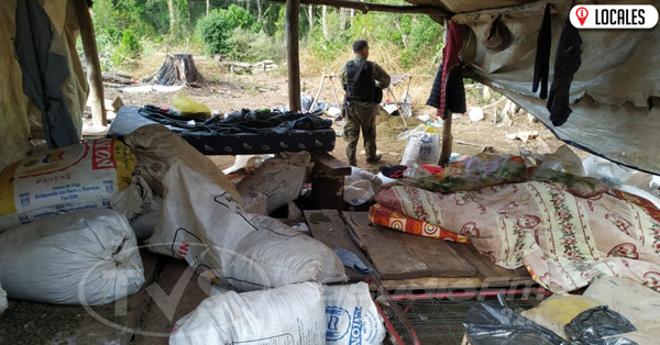Destruyen más de 7 toneladas de marihuana en la Reserva San Rafael