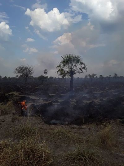 Quemazón de pastizales amenaza a estancias del Chaco