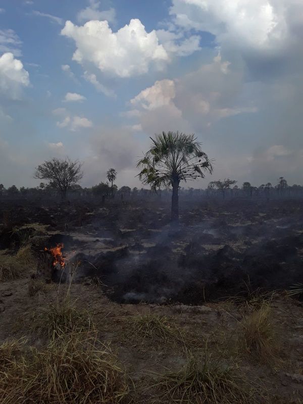 Quemazón de pastizales amenaza a estancias del Chaco