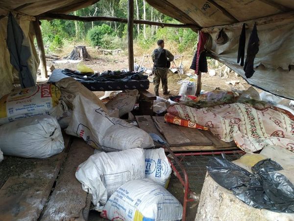 Hallan más de siete mil kilos de droga en operativo fiscal y policial en la Reserva San Rafael » Ñanduti