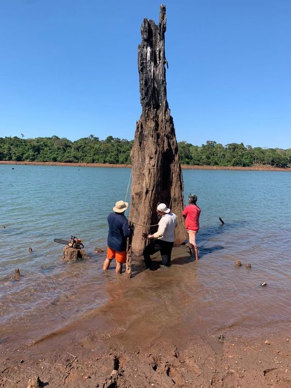 Aprovechan bajante para limpiar lago Acaray - ABC en el Este - ABC Color