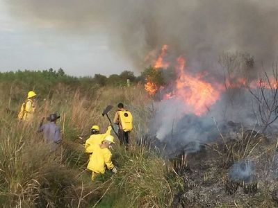 De nuevo, los incendios de pastizales en SJN - Nacionales - ABC Color