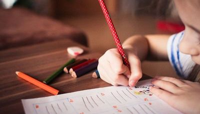 Educación en tiempos de COVID-19: "Lo que menos conviene ahora es obsesionarse con un currículum"