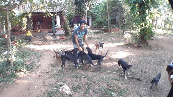 Él ángel de los perros en el tiempo del virus | Crónica