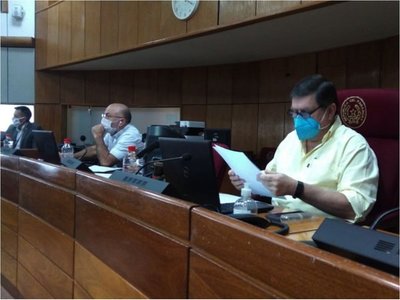 Senado ahorra G. 58 millones al mes tras eliminar seguro vip