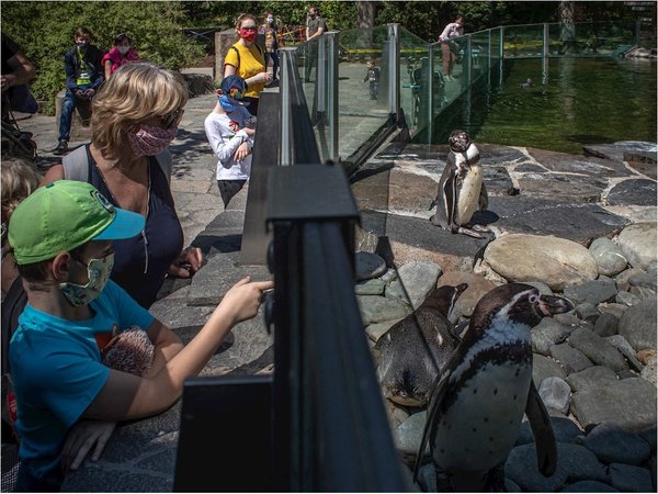 Zoo reabre con nuevas especies exóticas nacidas en la cuarentena