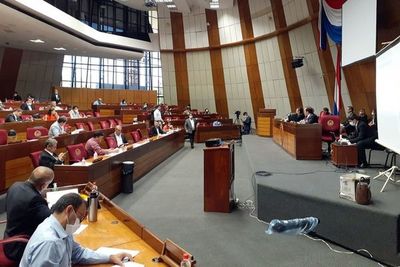 Diputados enviará a comisión proyecto de recorte de gastos superfluos