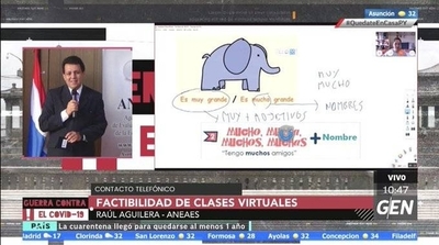 HOY / Raúl Aguilera, Directivo de la ANEAES, sobre la factibilidad de las clases virtuales