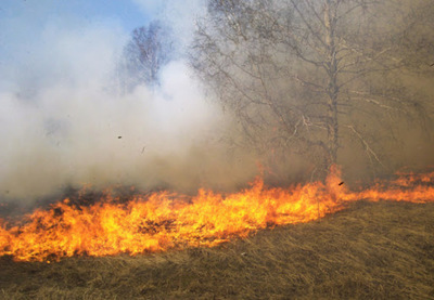 Detectan nuevos focos de incendio en el Chaco