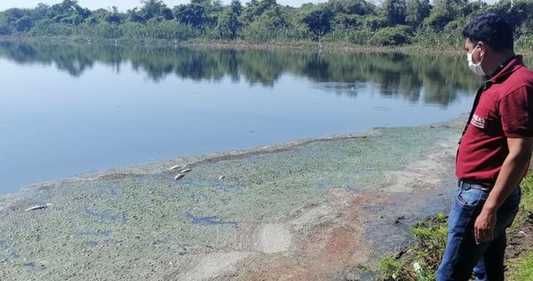 Mortandad de peces en Limpio sería por fugas de efluentes de una fábrica