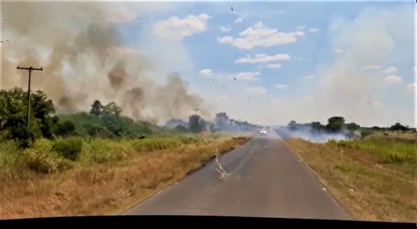 Chaco: siguen las quemas pero el MADES y la Fiscalía no actúan - Paraguay Informa