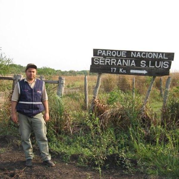 Constatan masiva tala de árboles en Parque Nacional - Paraguay Informa