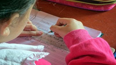 Padres denuncian la actitud impositiva del MEC